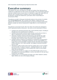 FINAL_Considerations_for_Synthetic_Data_SDWG__002_.pdf